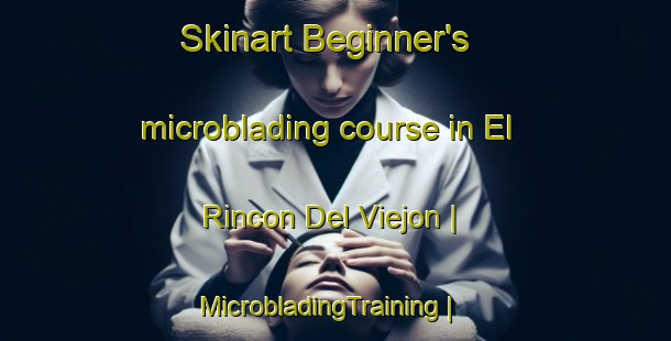 Skinart Beginner's microblading course in El Rincon Del Viejon | MicrobladingTraining | MicrobladingClasses | SkinartTraining-Mexico